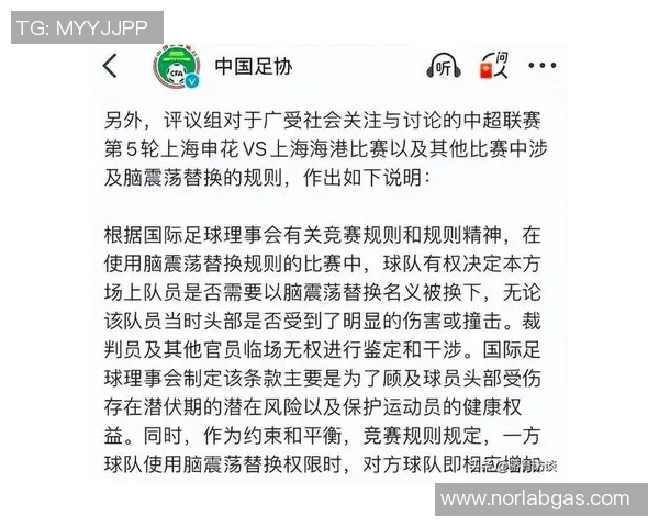 瑟尔洛特头部受伤后安慰球迷称自己无碍并确认未发生脑震荡