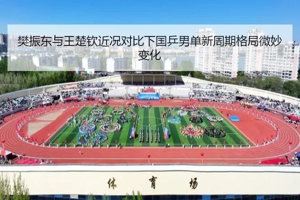 樊振东与王楚钦近况对比下国乒男单新周期格局微妙变化